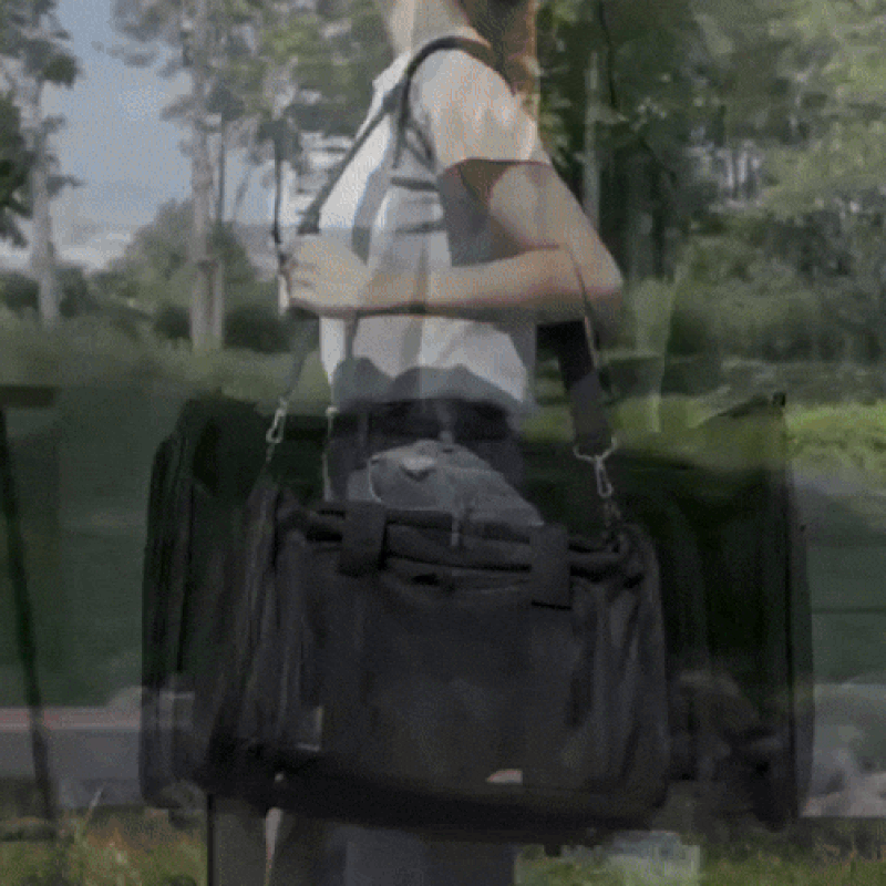 Airplane-Appropriate Dog Travel Bag Pet Carrier With Breathable Mesh
