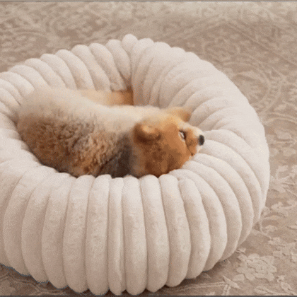 Soft Plush Dog & Cat Bed | Warm Round Washable Basket