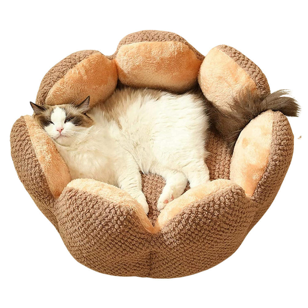 Cat Flowerbed | Sleeping Spot