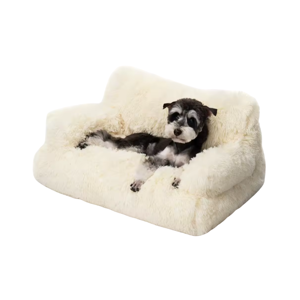 Raised Dog Bed | Washable Sofa for Small Pets