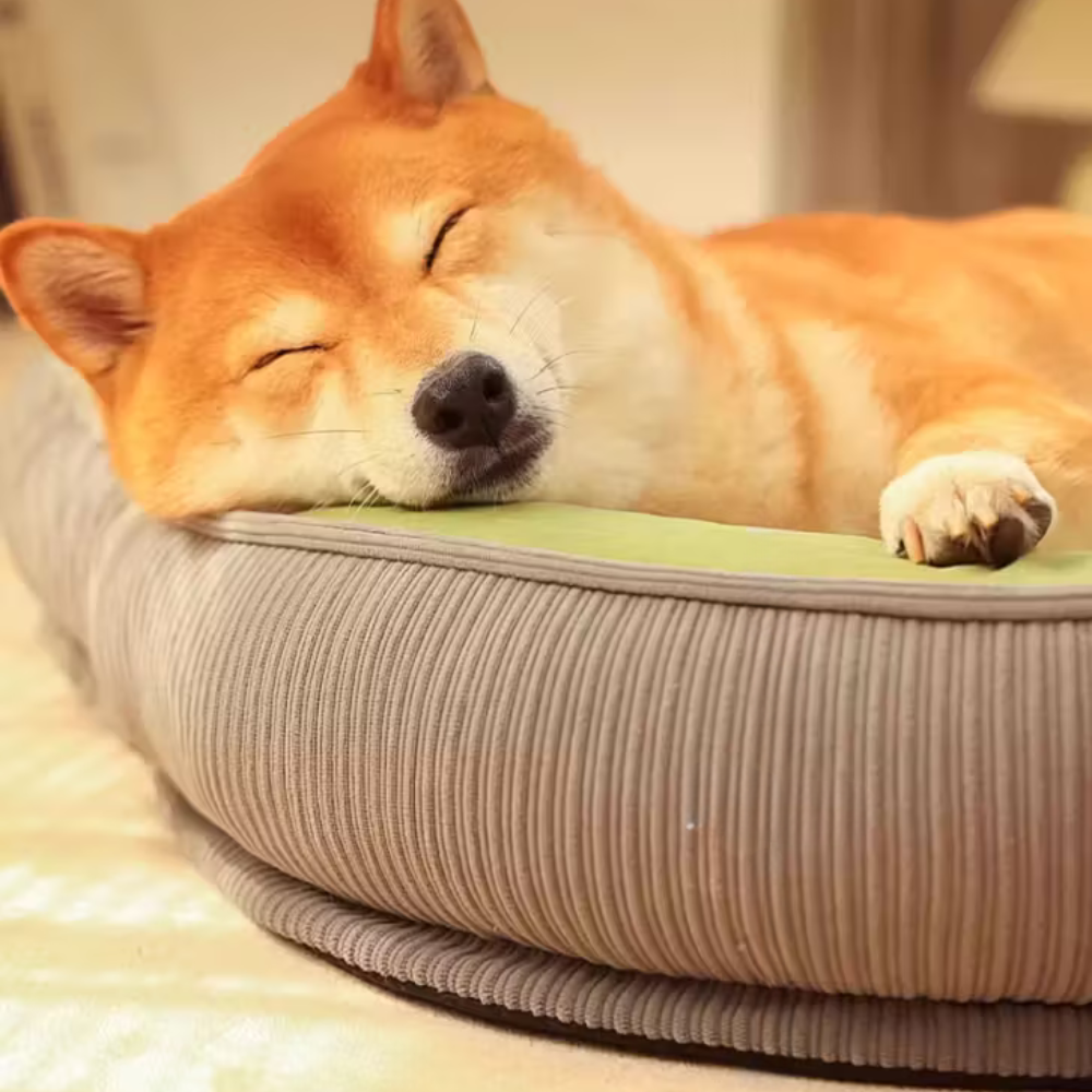 Dog Nest Bed | Warm Washable