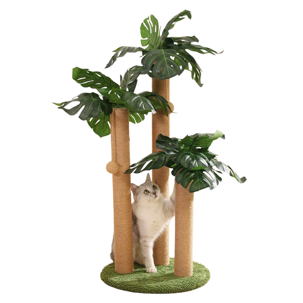 Cat Scratching Post | Jungle Adventure Tower