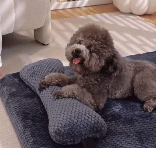 Dog Resilient Cushion | Anti-Slip Bed