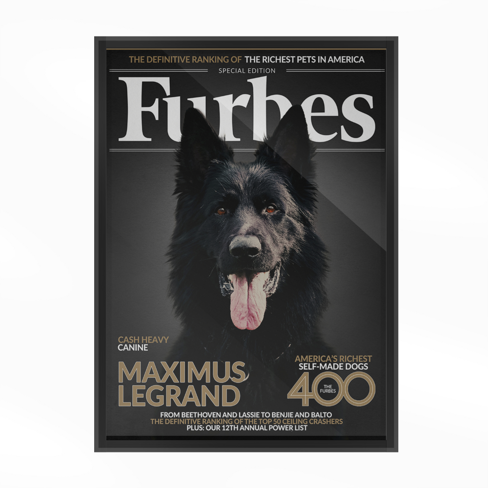 Personalized Pet Poster Your Cat or Dog on a Magazine Cover