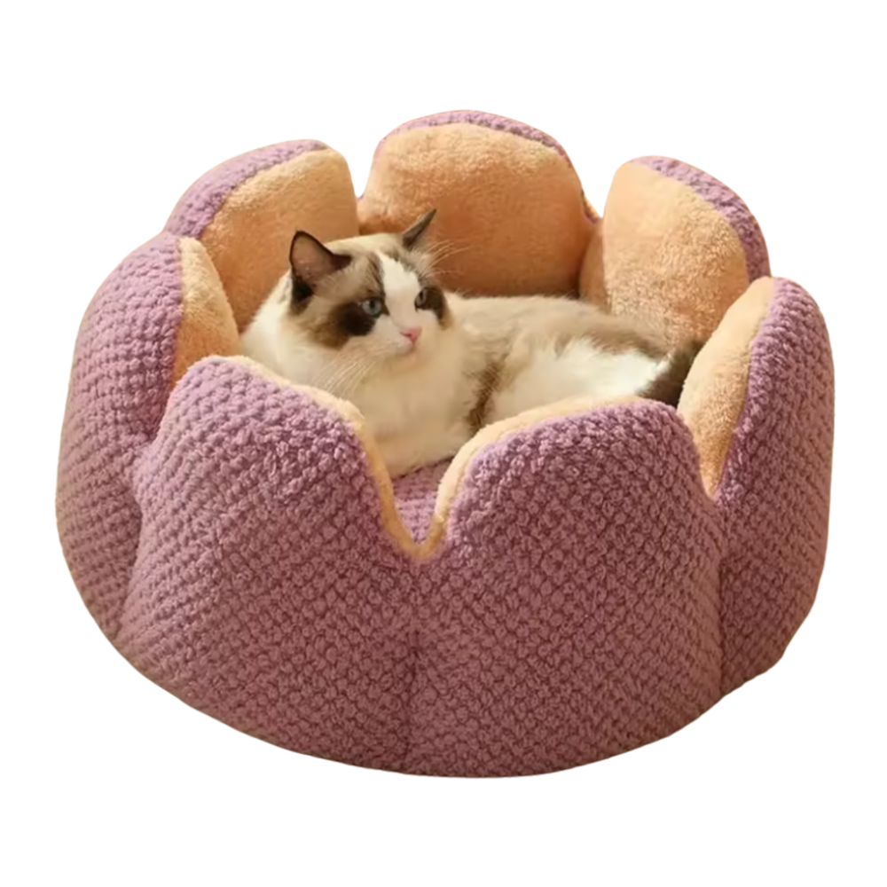 Cat Flowerbed | Sleeping Spot