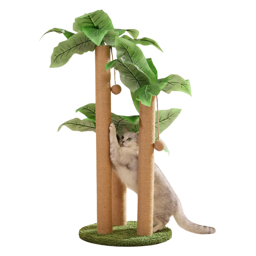 Cat Scratching Post | Jungle Adventure Tower