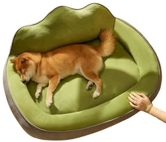 Dog Orthopedic Bed | Washable For Large Dogs