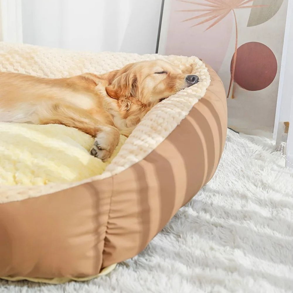 Dog Deep Sleep Bed | Orthopedic
