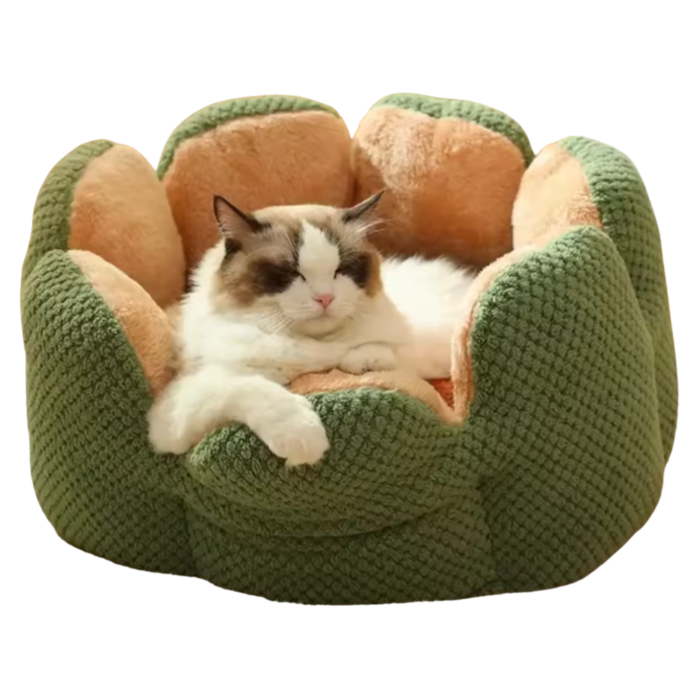 Cat Flowerbed | Sleeping Spot