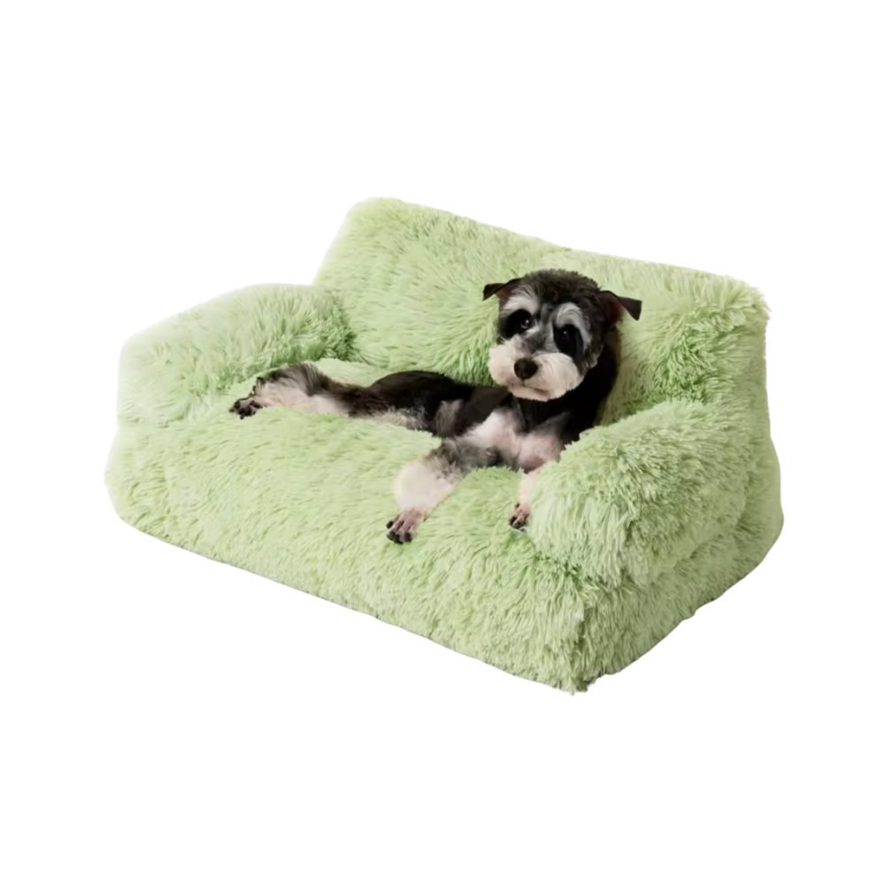 Raised Dog Bed | Washable Sofa for Small Pets