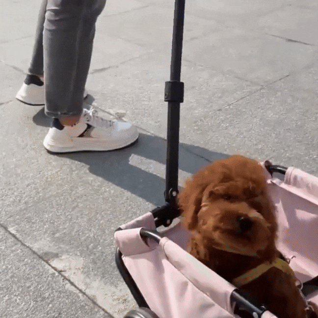 Pet Stroller Foldable Buggy with Comfortable Seating