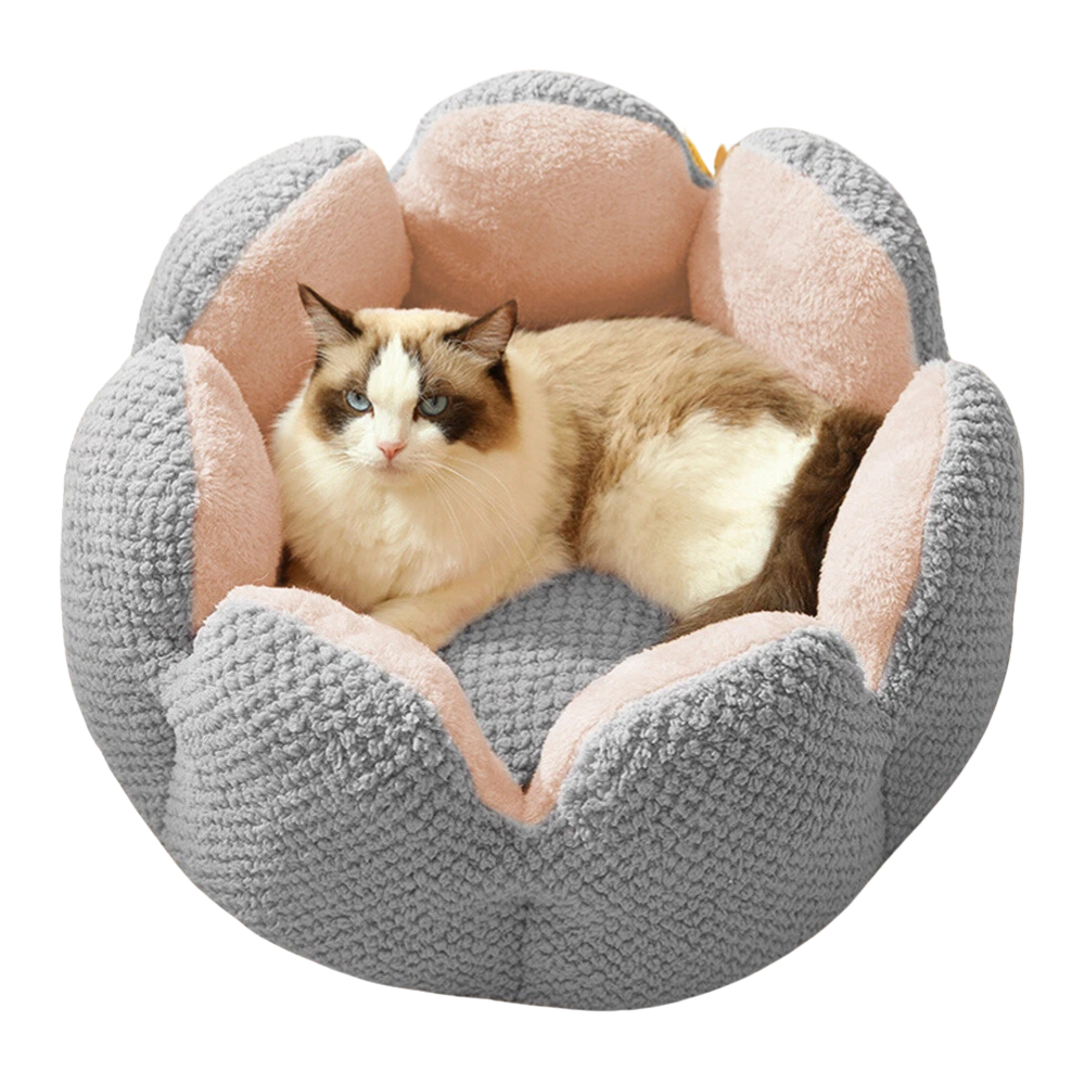 Cat Flowerbed | Sleeping Spot