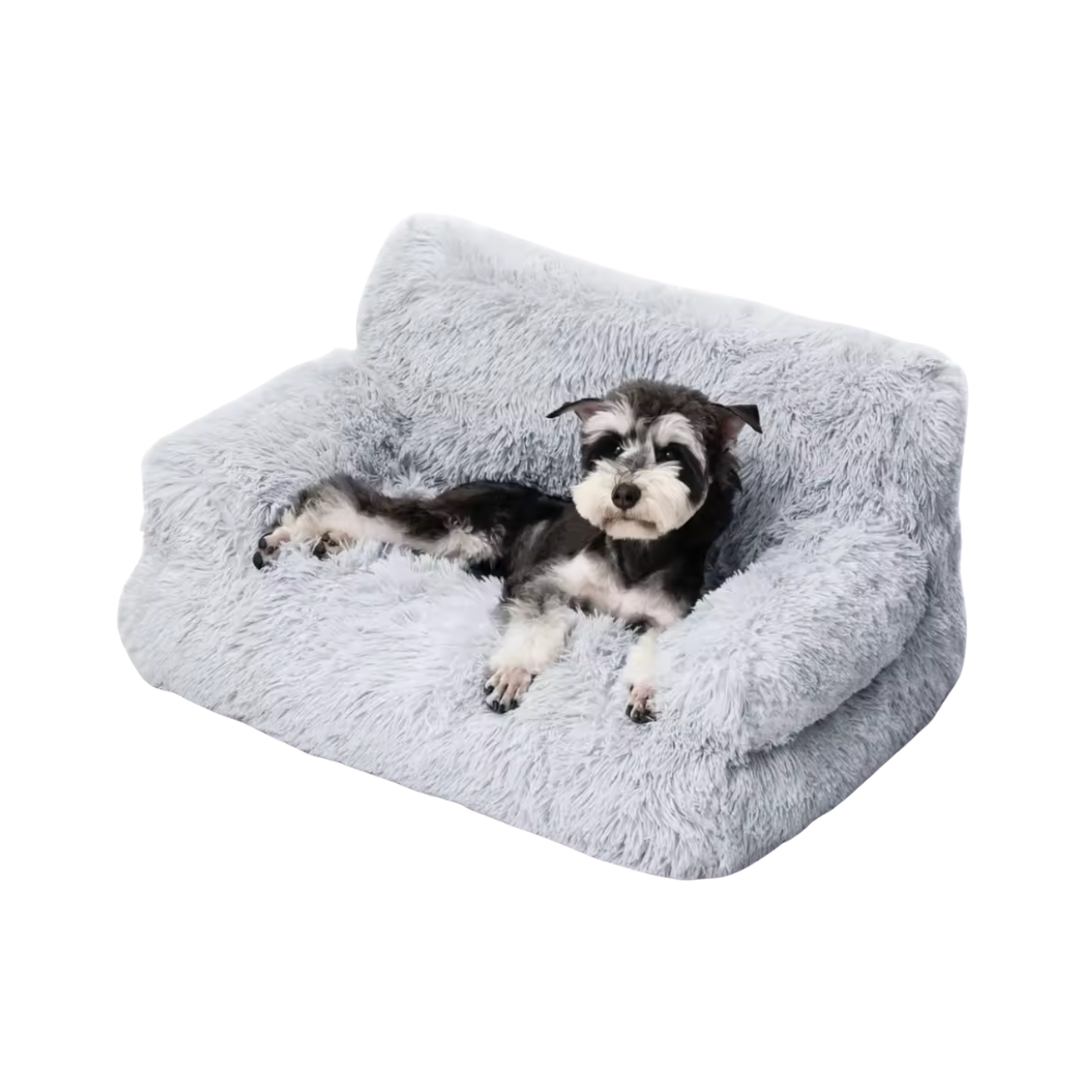 Raised Dog Bed | Washable Sofa for Small Pets