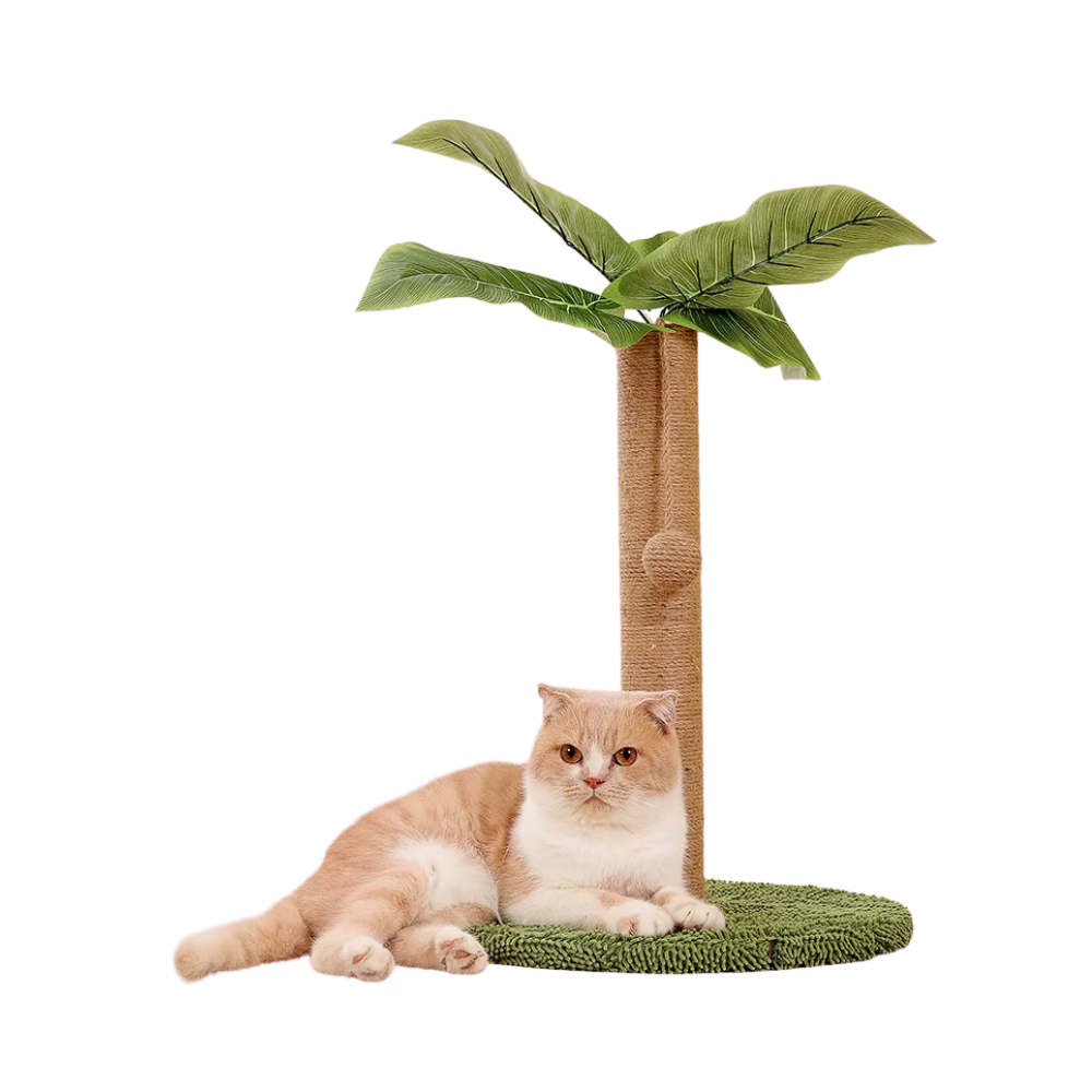 Cat Scratching Post | Jungle Adventure Tower