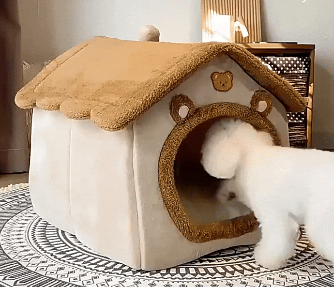 Cozy Cat House | Indoor