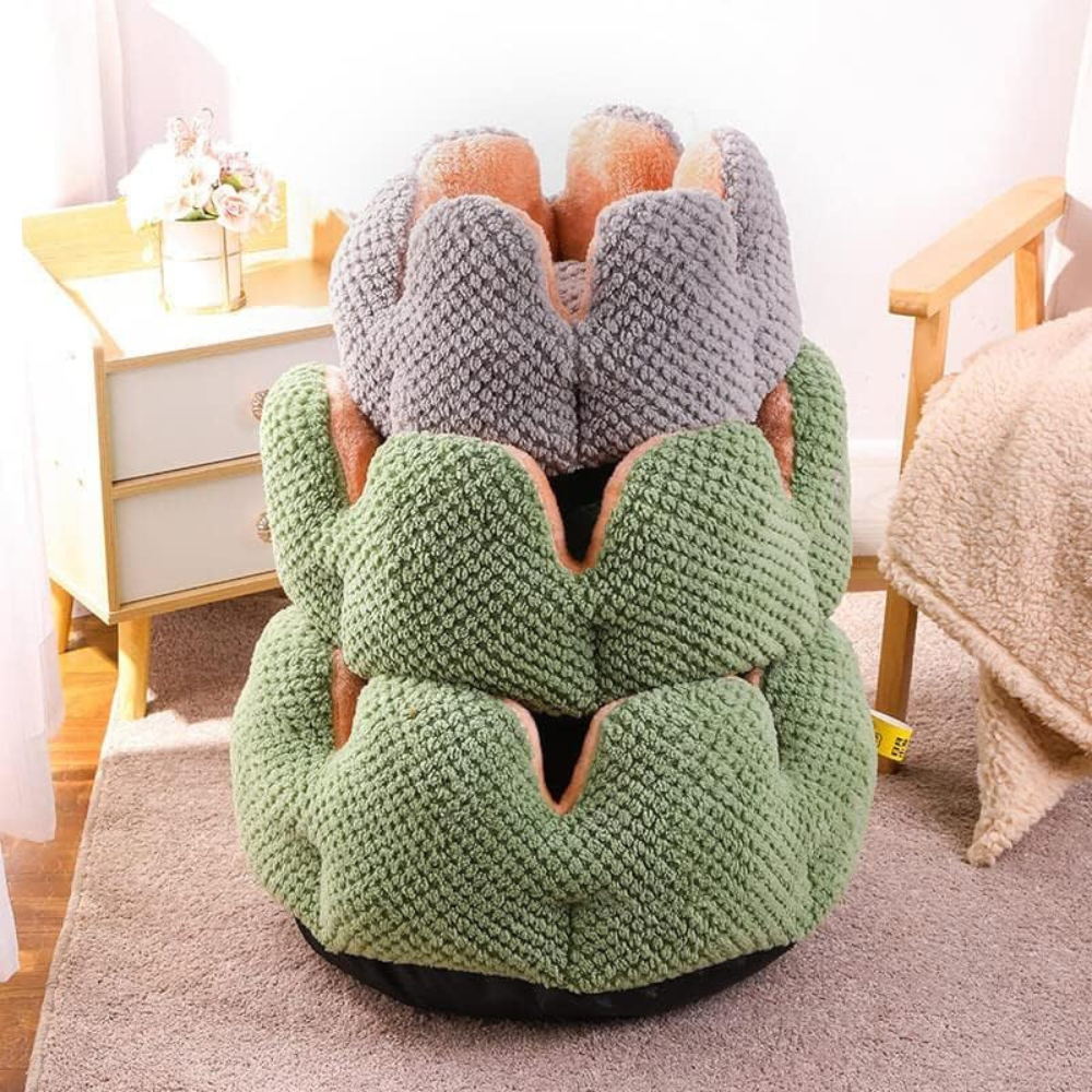 Cat Flowerbed | Sleeping Spot