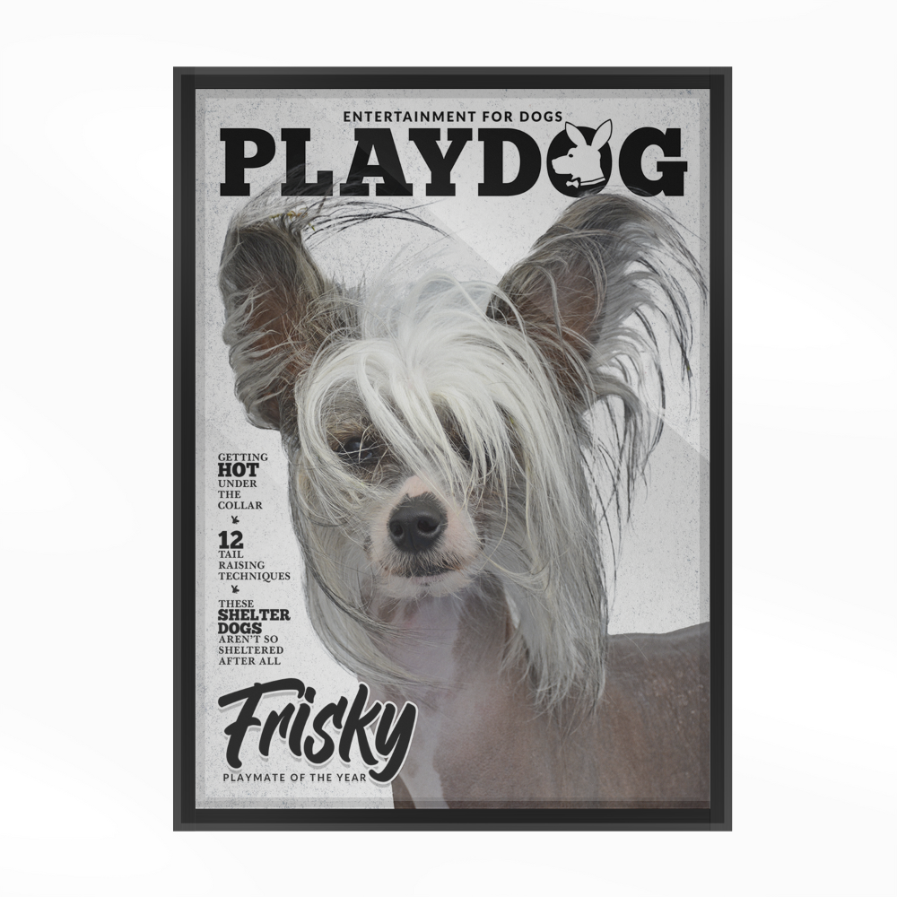 Personalized Pet Poster Your Cat or Dog on a Magazine Cover