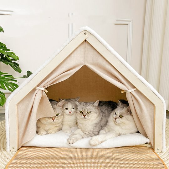 Cats Large Indoor Dwelling | Scratch-Friendly