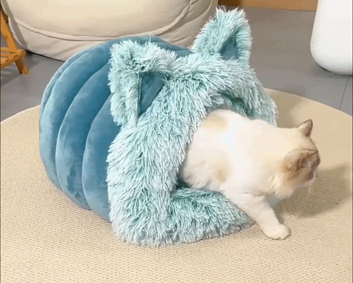 Cat Ear Bed | Bed for a Cat