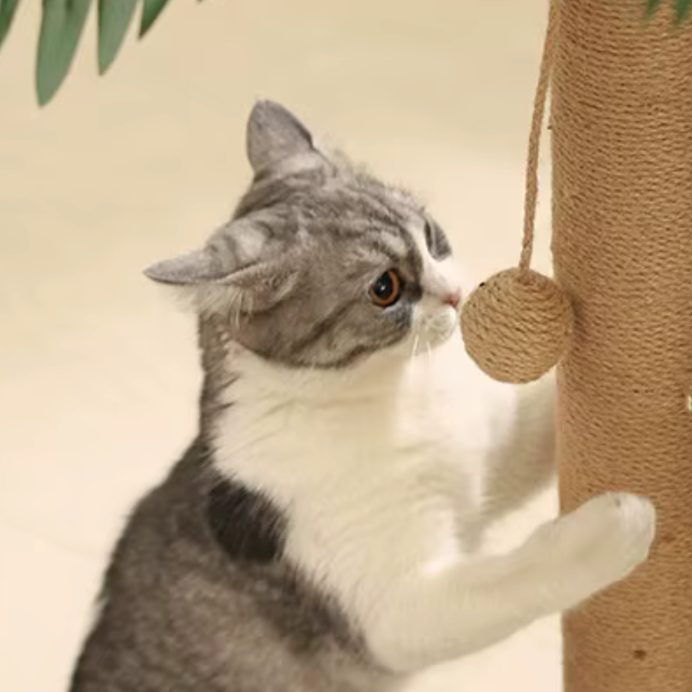 Cat Scratching Post | Jungle Adventure Tower