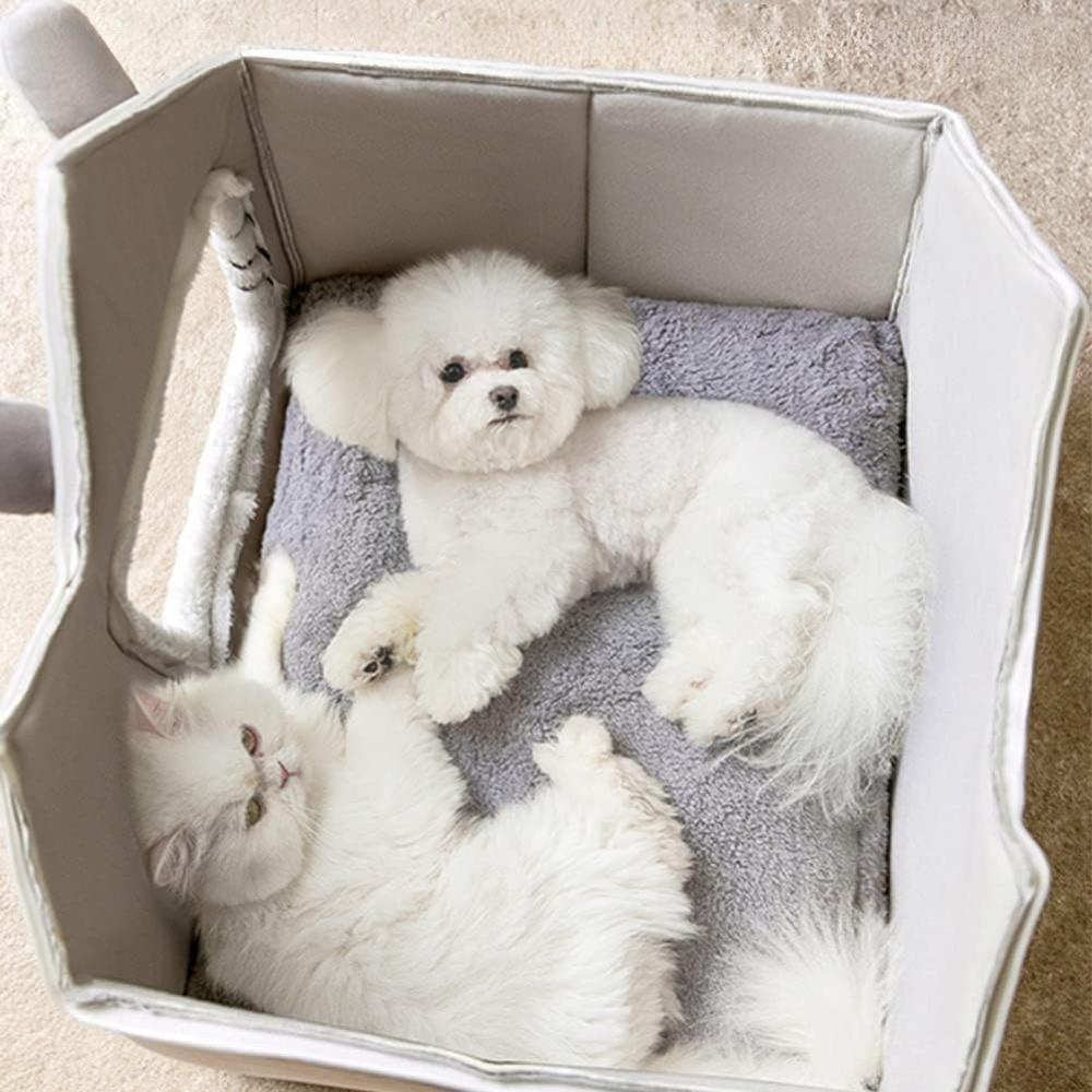 Cat Plush House | Indoor