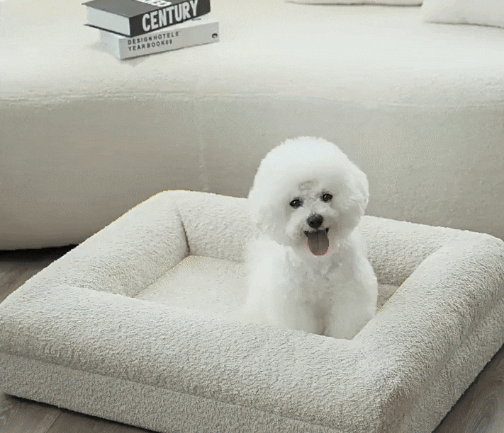 All Seasons Dog Bed | Durable Dog Bed