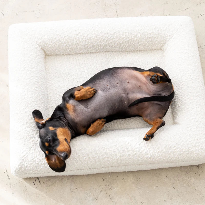 All Seasons Dog Bed | Durable Dog Bed