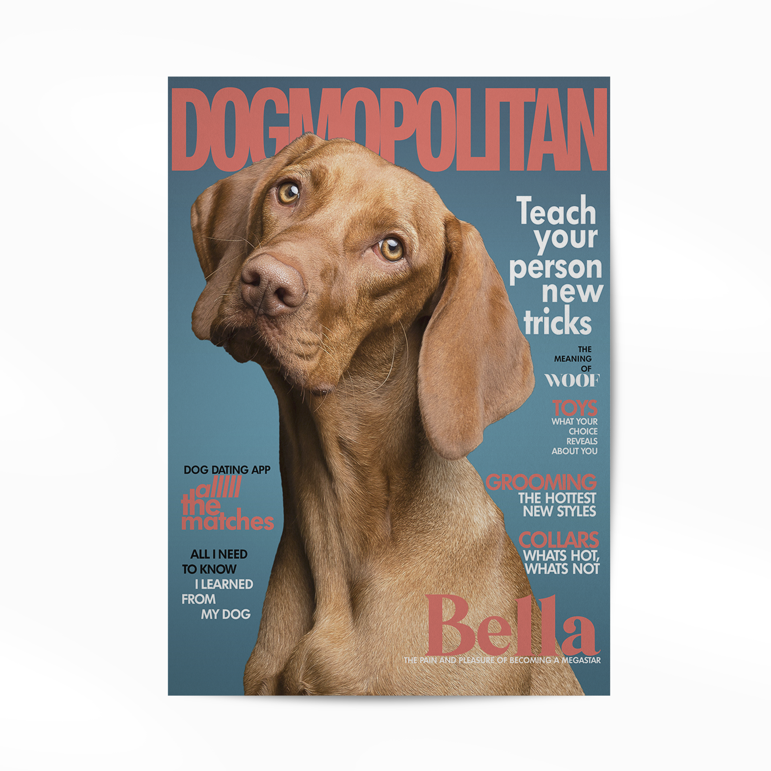 Personalized Pet Poster Your Cat or Dog on a Magazine Cover