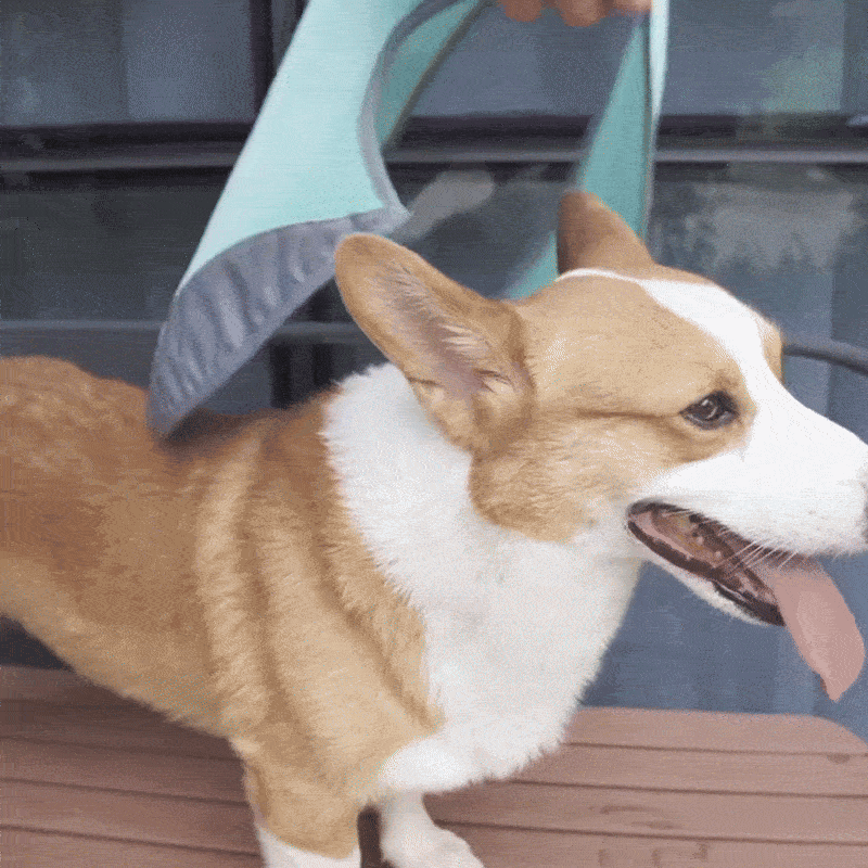 Dogs Quick-Drying, Comfortable & Reflective For Safety