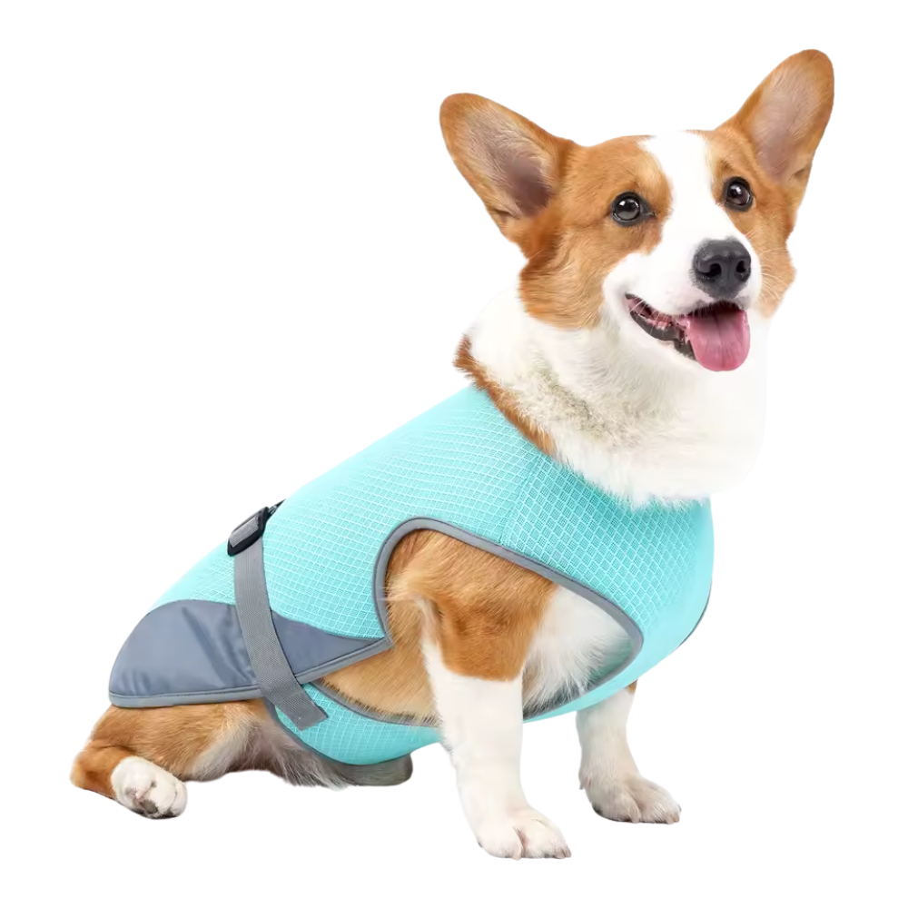 Dogs Quick-Drying, Comfortable & Reflective For Safety