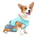 Dogs Quick-Drying, Comfortable & Reflective For Safety