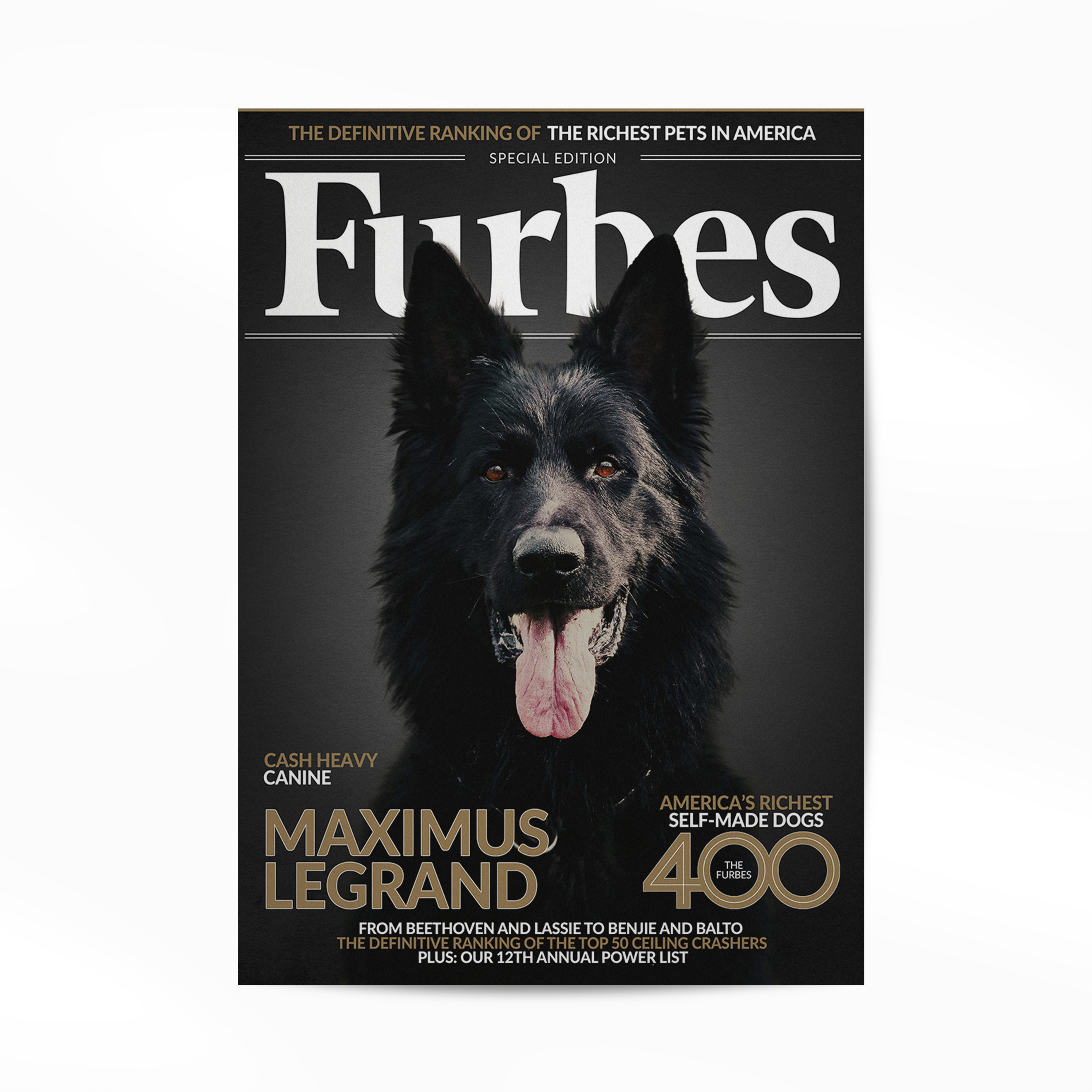 Personalized Pet Poster Your Cat or Dog on a Magazine Cover