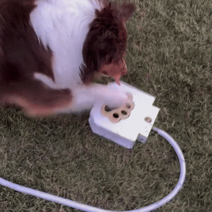 Dog Water Fountain Interactive Pedal Fountain for Outdoor & Cooling