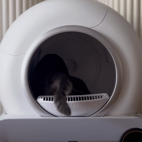 Self-Cleaning Litter Box Automatic, Quiet & Odor-Free Solution