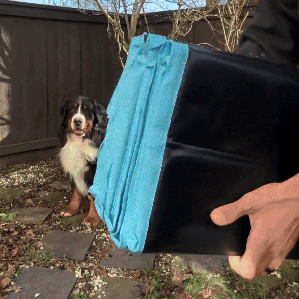 Dog Pool Foldable, Leakproof, Strong Enough for Sharp Claws