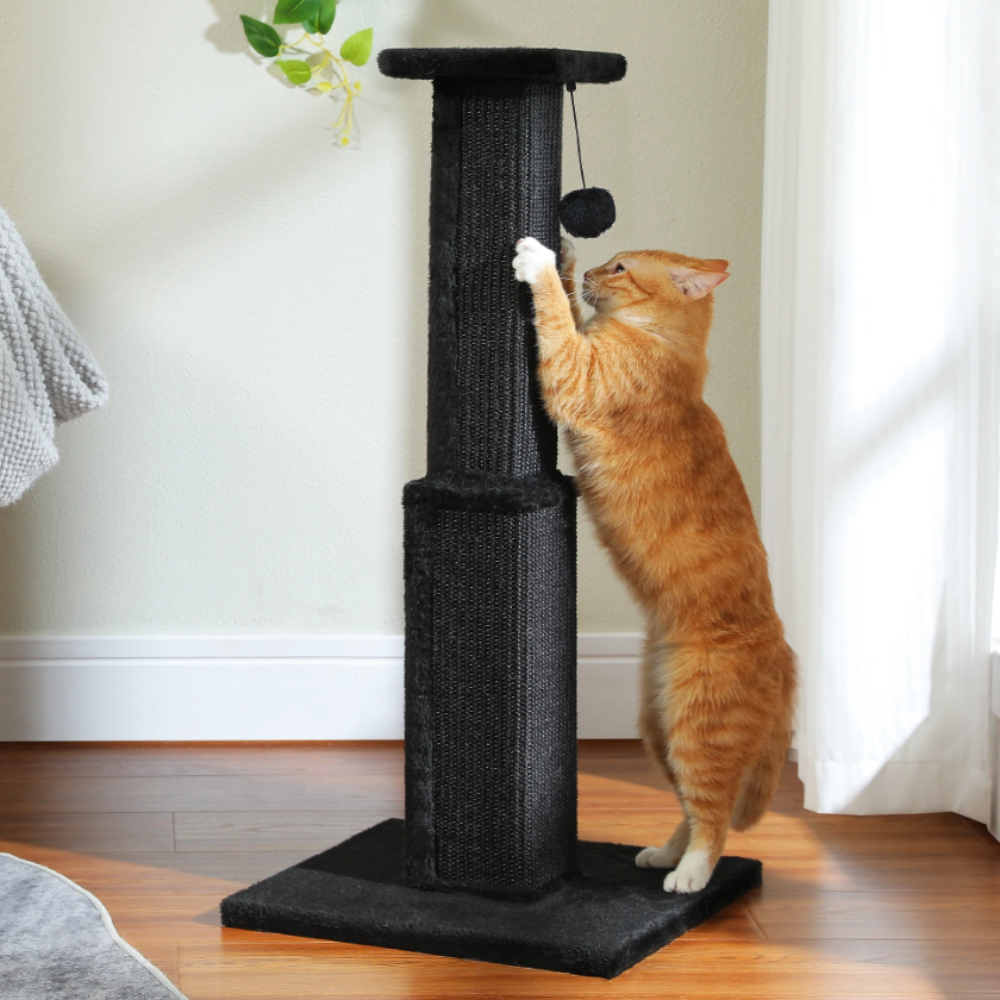 Large Cat Scratching Post | Scratch-Friendly Design