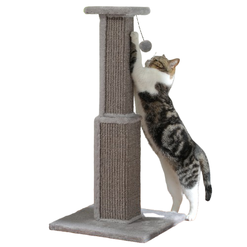 Large Cat Scratching Post | Scratch-Friendly Design