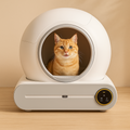 Self-Cleaning Litter Box Automatic, Quiet & Odor-Free Solution