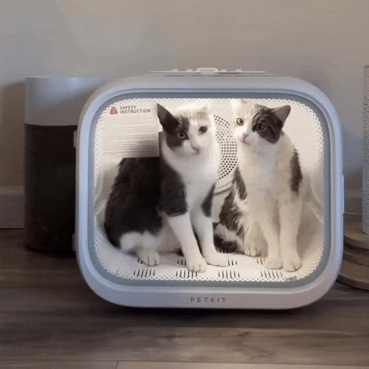 Pet Dryer Silent Hands-Free Drying Box for Dogs & Cats