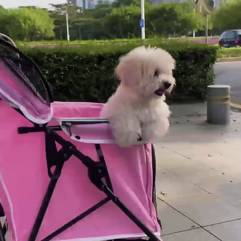 Foldable Dog Stroller with Breathable Mesh & Comfortable Seating Area