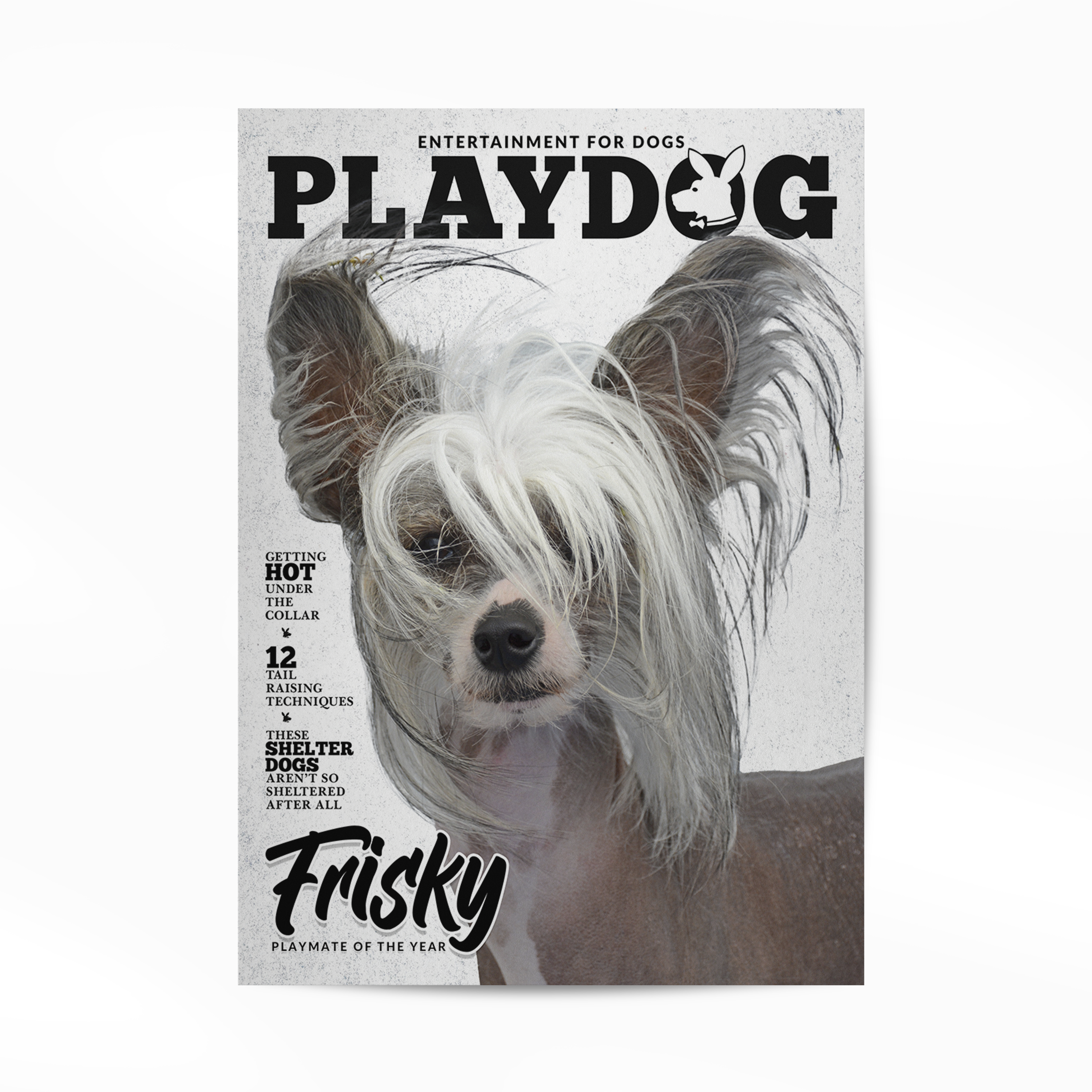 Personalized Pet Poster Your Cat or Dog on a Magazine Cover
