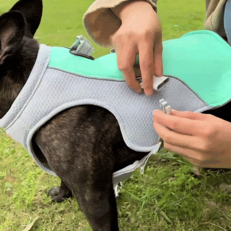 Dog Cooling Vest Instant Cooling, Lightweight & Reflective Strips