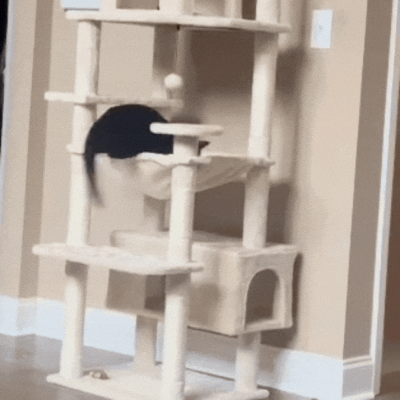 Modern Cat Tower Luxury Cat Tower With Scratching Posts And Comfortable Houses