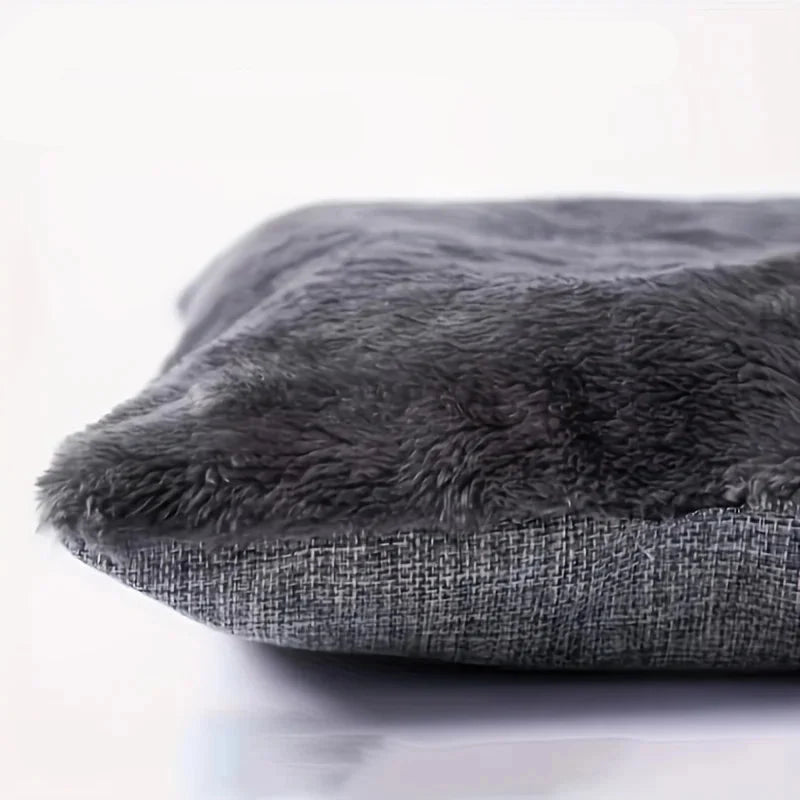Cat Cave House | Indoor