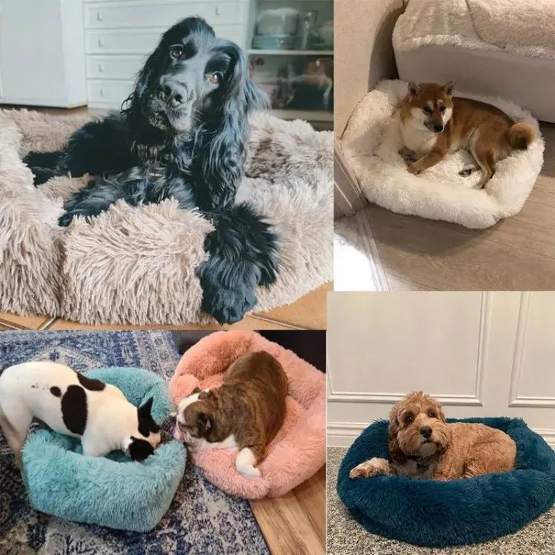 Dog Rectangular Cushion Bed | Washable
