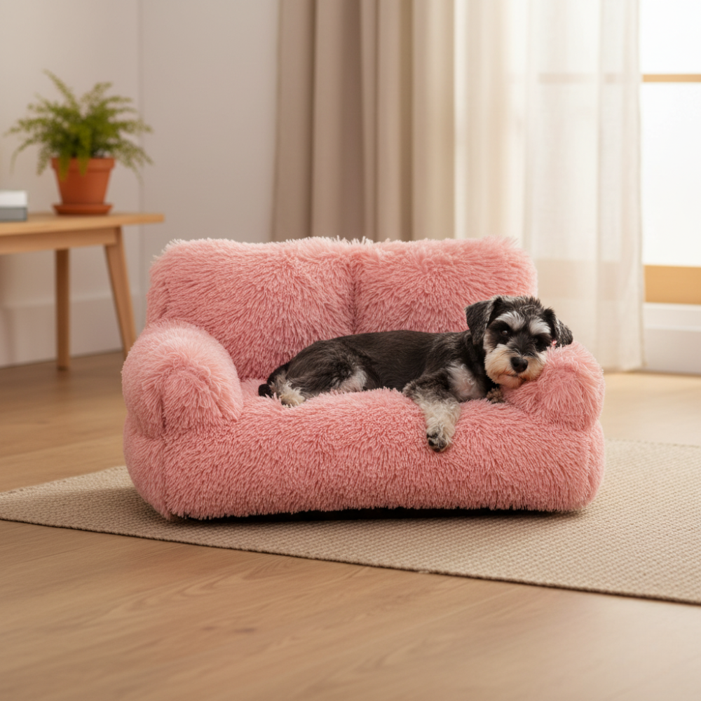 Raised Dog Bed | Washable Sofa for Small Pets