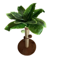 Cat Tree Scratching Post Made of Coconut Rope Durable Compact Cat Tree