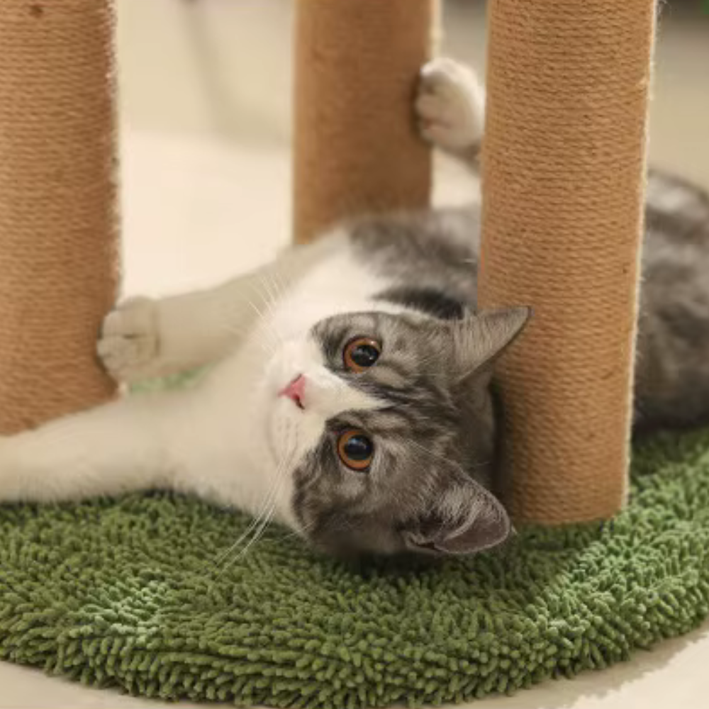 Cat Scratching Post | Jungle Adventure Tower