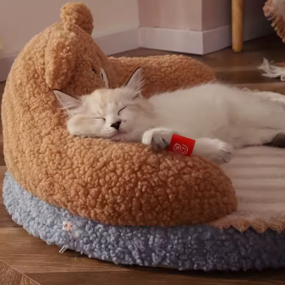 Cute Cat Bed for Small Cats | Soft Sleeping Sofa