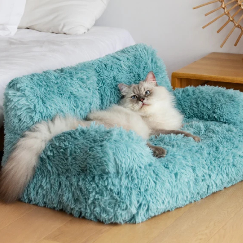 Raised Dog Bed | Washable Sofa for Small Pets
